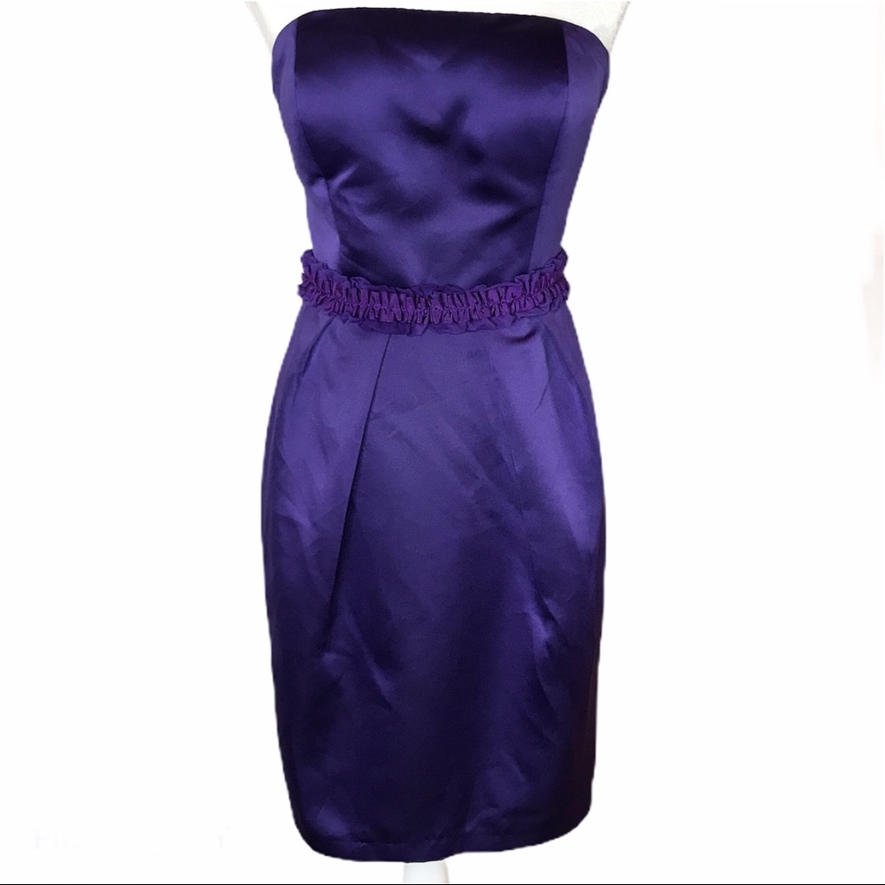 Antonio Menali • Sz 2 Purple Formal Dress